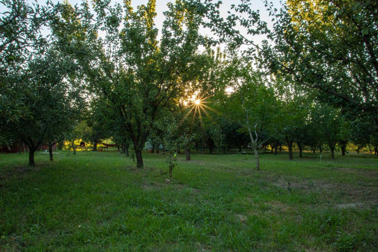 Villa La Livada Greci Exterior foto